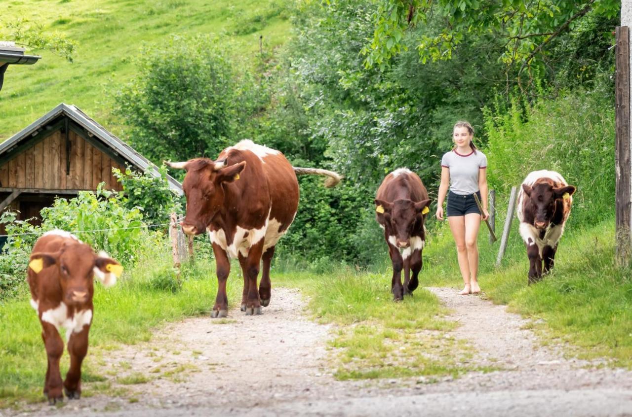 Gasperhof Lejlighed Dellach  Eksteriør billede